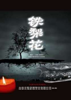 铁梨花迅雷下载
