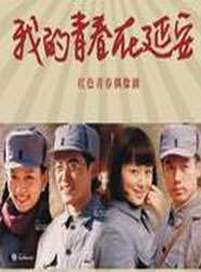 我的青春在延安迅雷下载