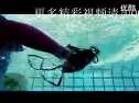 游泳迅雷下载