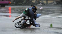 超强台风"威马逊"横扫海南迅雷下载