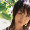 西田麻衣种子