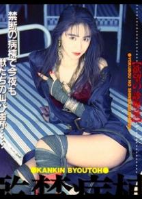 田村香织种子