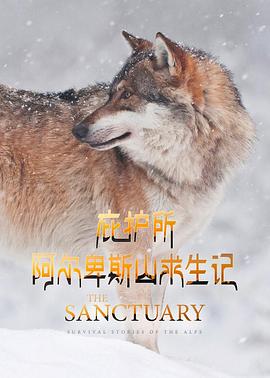 庇护所:阿尔卑斯山求生记迅雷下载