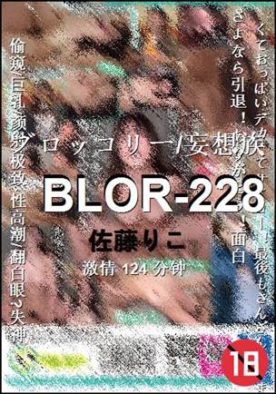 BLOR-228