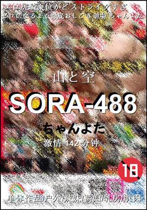 SORA-488