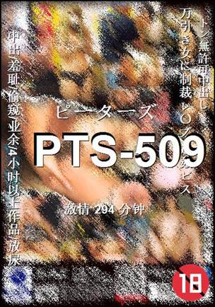 PTS-509种子