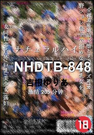 NHDTB-848种子