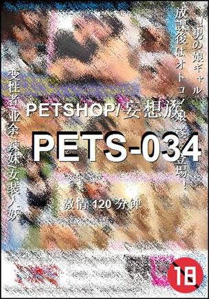 PETS-034种子