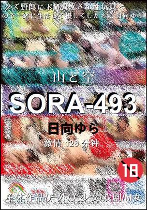 SORA-493