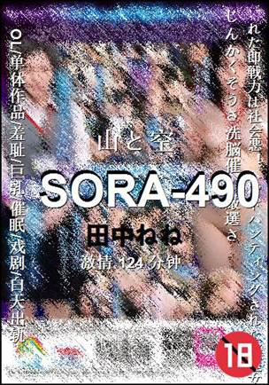 SORA-490