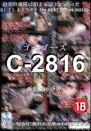 C-2816种子