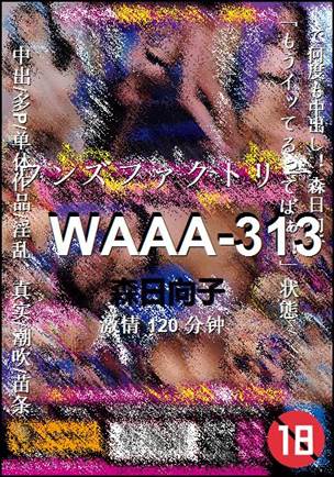 WAAA-313