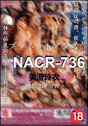 NACR-736种子