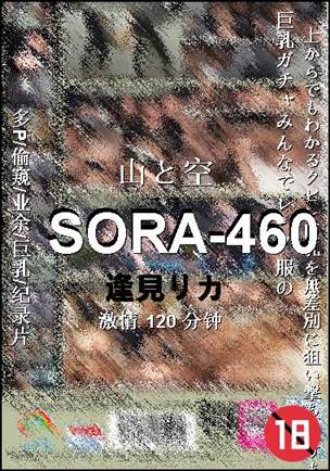 SORA-460