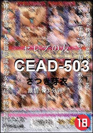 CEAD-503种子