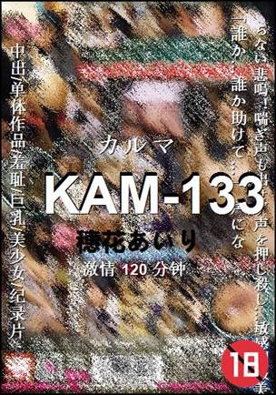 KAM-133种子