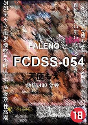 FCDSS-054