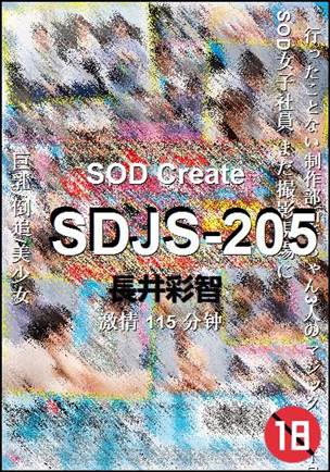 SDJS-205