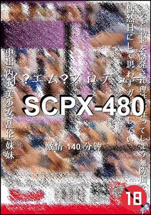SCPX-480种子