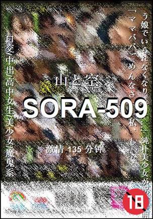 SORA-509种子