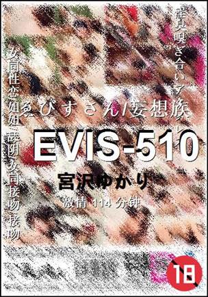 EVIS-510