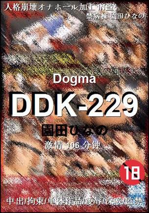 DDK-229