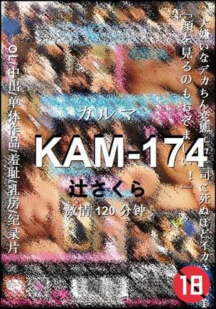 KAM-174种子