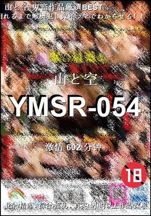 YMSR-054种子