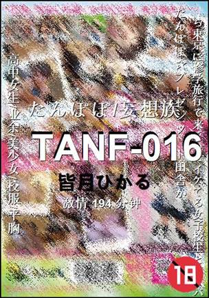 TANF-016种子