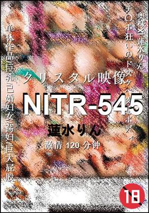 NITR-545种子