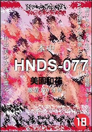 HNDS-077种子
