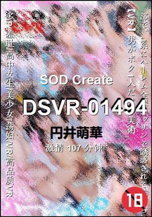 DSVR-01494