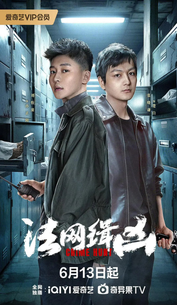 法网缉凶迅雷下载