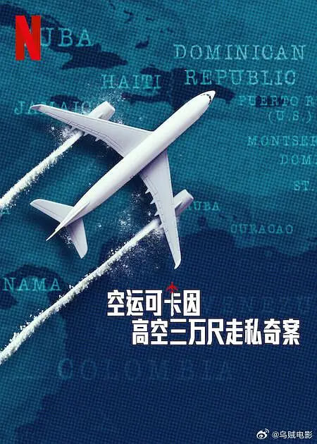空运可卡因:高空三万尺走私奇案迅雷下载